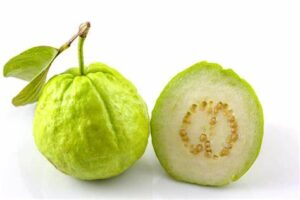 Guava sapota (chikoo)