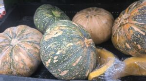 Green Pumpkin (Hara Kaddu) auto draft